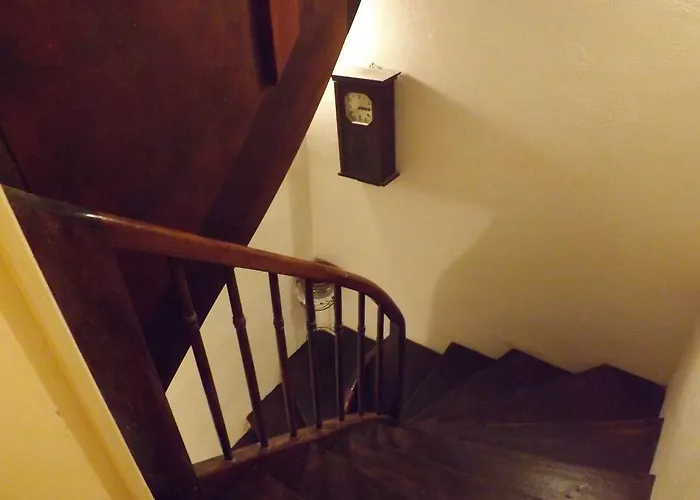 Lougat La Maison Des Chats * קורד-סור-סיאל